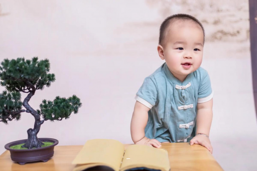 牡丹江可爱的企鹅宝宝